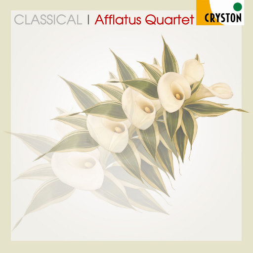 91小资源视频在线观看
